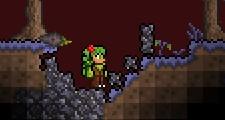 Terraria - Terraria: Флористика